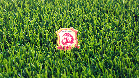 武汉市体育局致信感谢卓尔：为武汉足球改革发展作出了巨大贡献